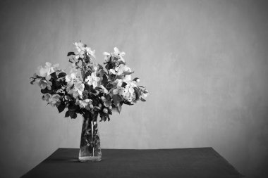 Tek renkli çiçek açan twigs demet