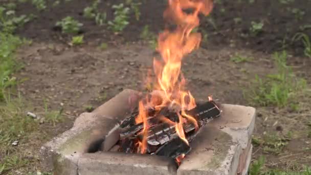 Fuego en el jardín — Vídeo de stock