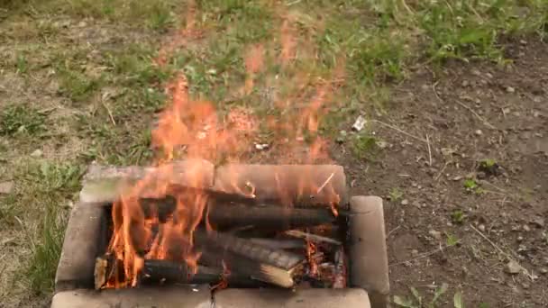 Большой пожар в саду — стоковое видео