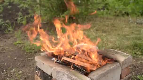 Vuur in de tuin — Stockvideo