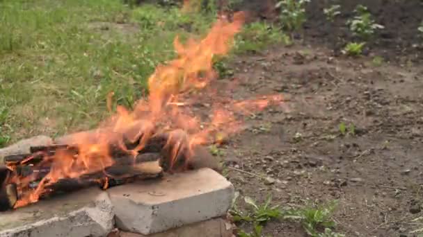 Пожар в летний день — стоковое видео