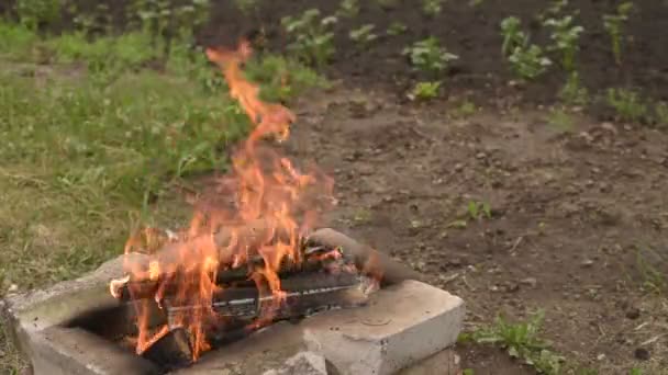 Летний день в саду с огнем — стоковое видео