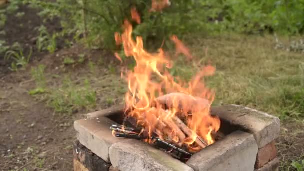 Gooien van hout in het vuur — Stockvideo