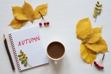 Sonbahar, kahve ve beyaz tahta üstünde defter özniteliklerini