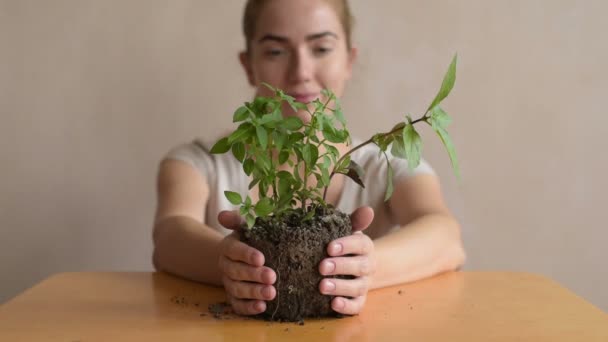 Vrouw met een basilicum sprout — Stockvideo