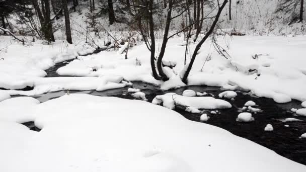 Біг струмок взимку — стокове відео