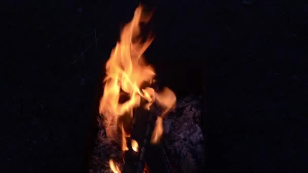 Vlammen van een kampvuur — Stockvideo