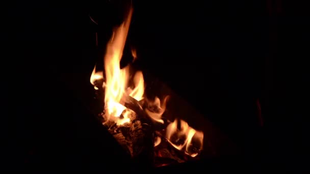 Campfire on black — Stock Video