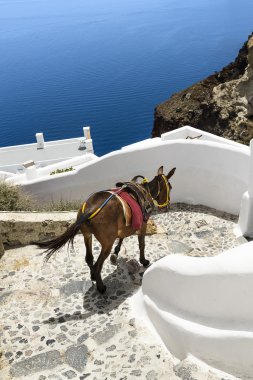 Oia sokaklarda