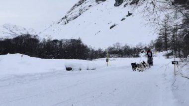 Grande Odyssee mushers yarış