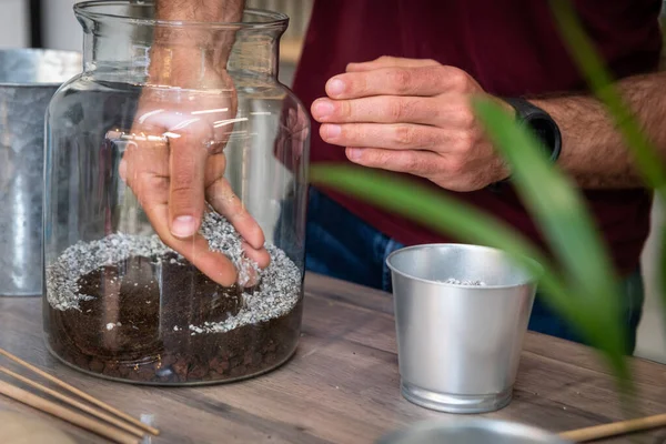 Tillverkning Ett Terrarium Med Växter — Stockfoto