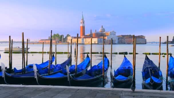 Gôndolas em Venezia — Vídeo de Stock