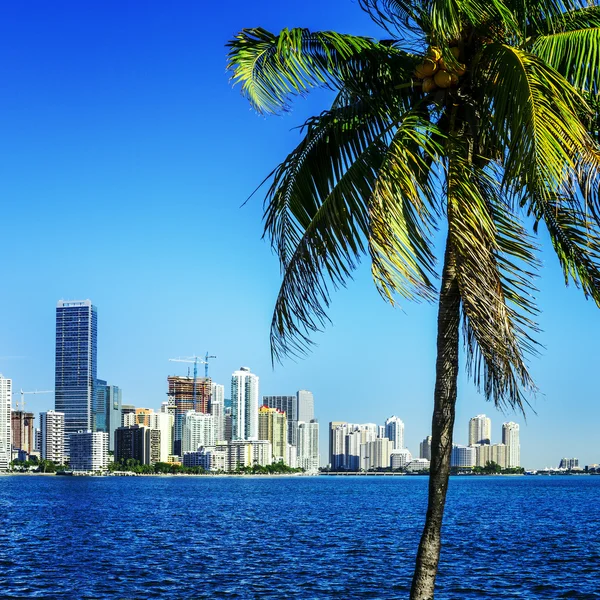 Skyline der Innenstadt von Miami — Stockfoto