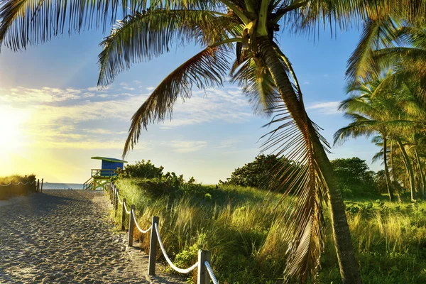 Torre de salva-vidas, Miami Beach, Flórida — Fotografia de Stock