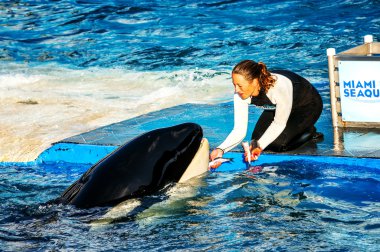 miami Seaquarium, floride