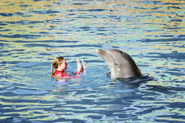 Meerwasseraquarium miami, floride — Stockfoto