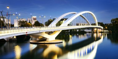 Lyon kent ve Rhone Nehri