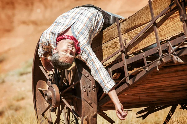 Koe jongen geest — Stockfoto