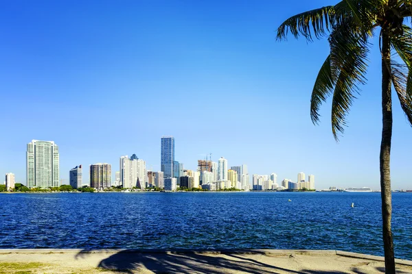 Skyline der Innenstadt von Miami — Stockfoto