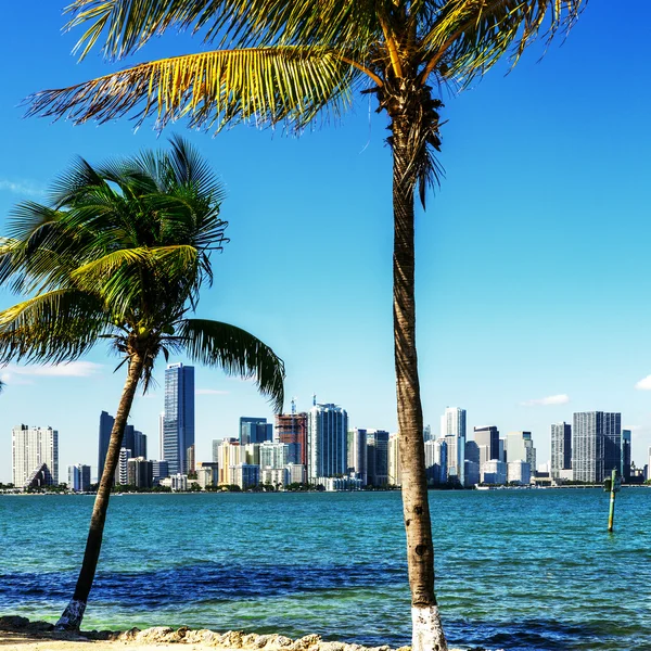 Horizonte da baixa de Miami — Fotografia de Stock