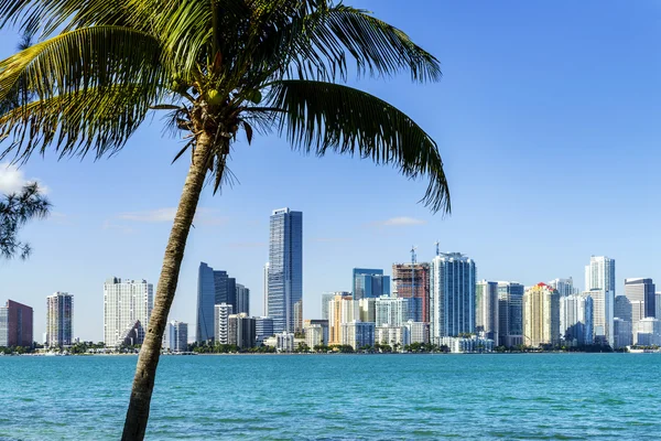 Skyline der Innenstadt von Miami — Stockfoto