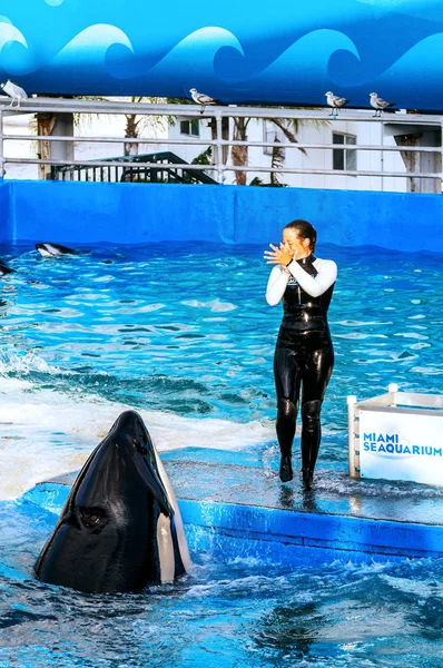 Meerwasseraquarium miami, floride — Stockfoto