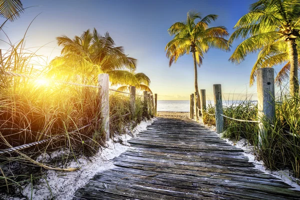 Way to the beach — Stock Photo, Image