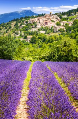 Lavender field and village, France. clipart