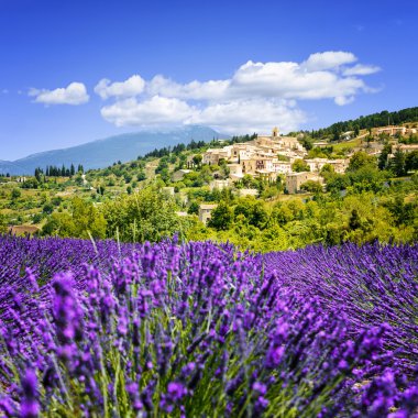 Lavender field and village, France. clipart