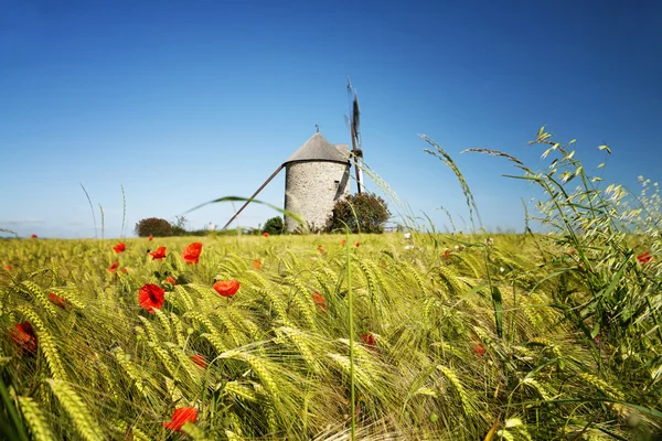 Windmühle in Pontorson — Stockfoto