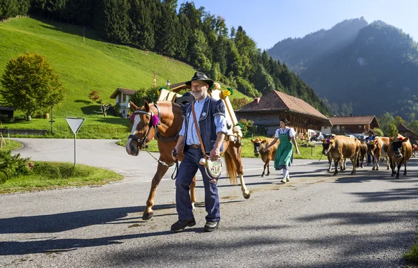 Transhumance evenement in Charmey — Stockfoto