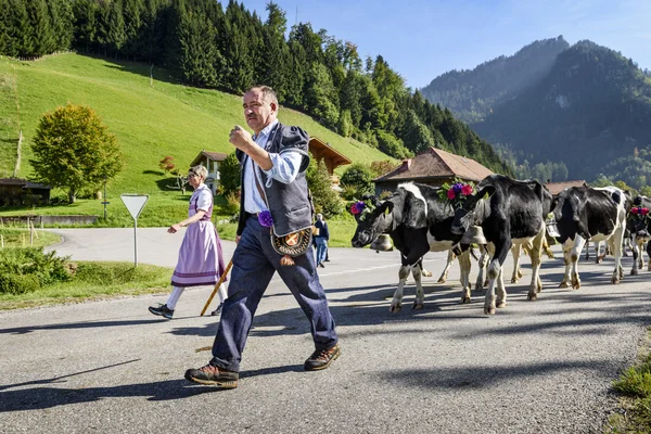 Transhumance event in Charmey — Stock Photo, Image