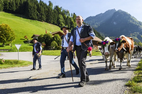 Transhumance evenement in Charmey — Stockfoto