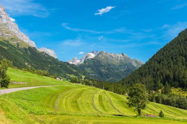 Yeşil arazi manzara ile İsviçre Dağları