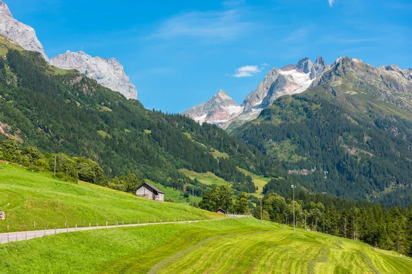 Yeşil arazi manzara ile İsviçre Dağları — Stok fotoğraf