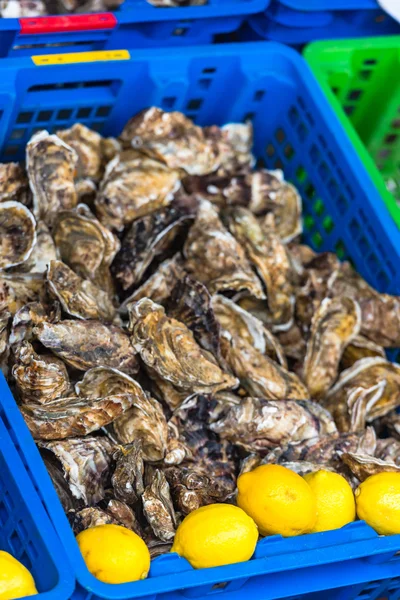 Oysters market in Cancale — Stock Photo, Image