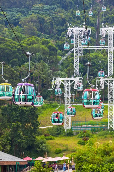 Cable cars over tropical trees — Stock Photo, Image