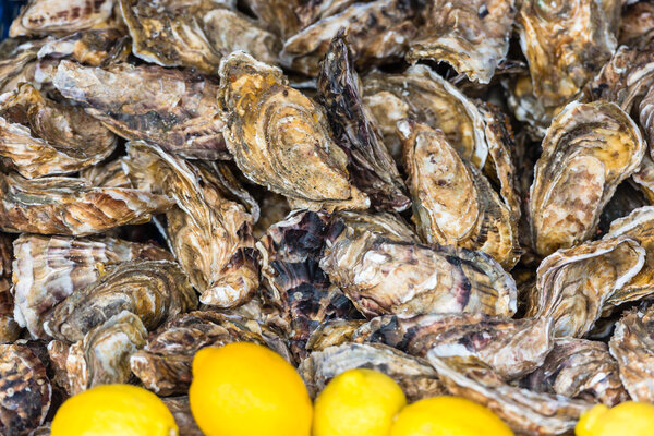 Oysters market in Cancale, France