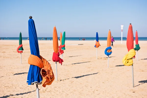 Ünlü renkli şemsiye