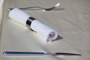 Çelik kap ve peçete halkası