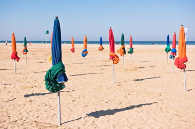 Ünlü renkli şemsiye