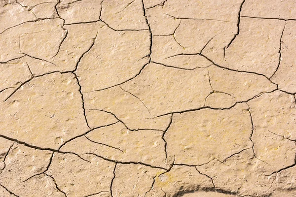 kurutulmuş kırık deniz dibinin ayrıntılarını