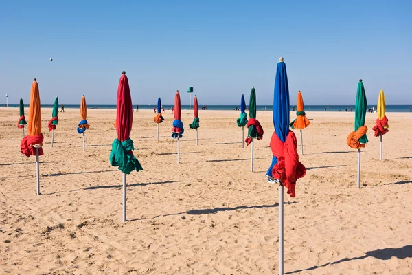 Ünlü renkli şemsiye