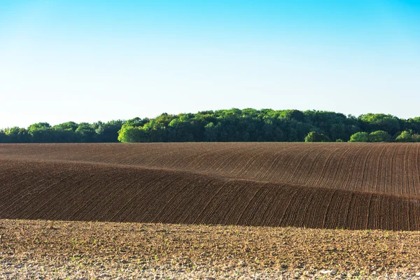 Campo agrícola em uma colina — Fotografia de Stock