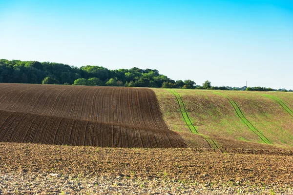 Campo agrícola em uma colina — Fotografia de Stock