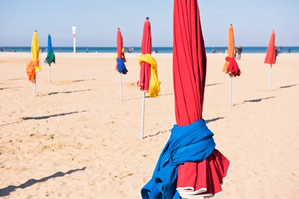 Ünlü renkli şemsiye