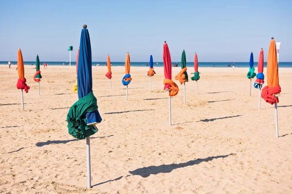 Ünlü renkli şemsiye