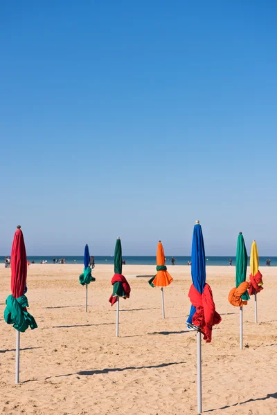 Ünlü renkli şemsiye