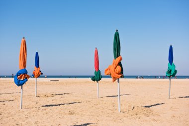 Ünlü renkli şemsiye