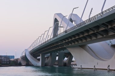 Sheikh Zayed Köprüsü, Abu Dhabi, Birleşik Arap Emirlikleri